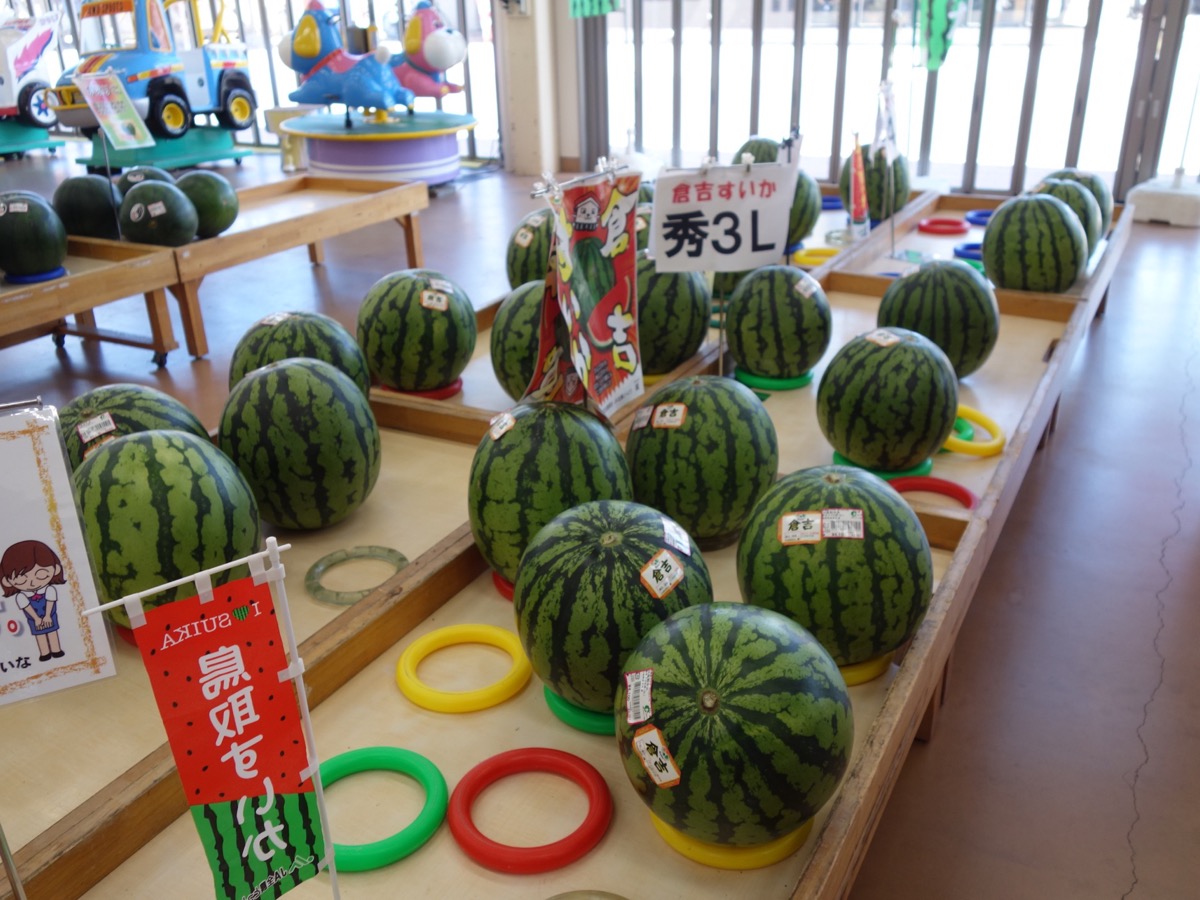 鳥取港海鮮市場かろいち