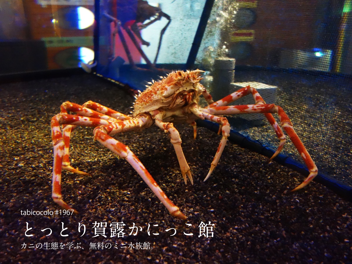 とっとり賀露かにっこ館