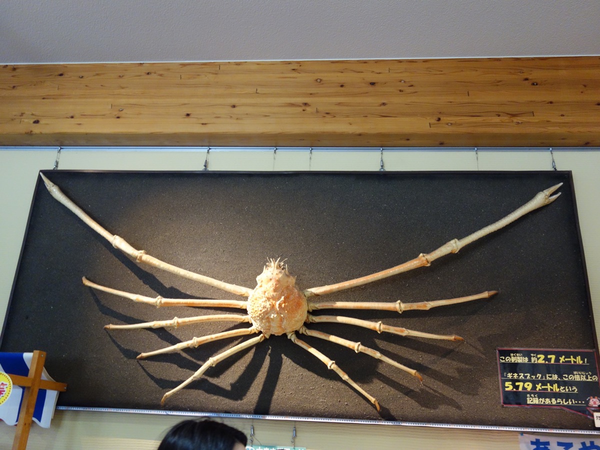 とっとり賀露かにっこ館