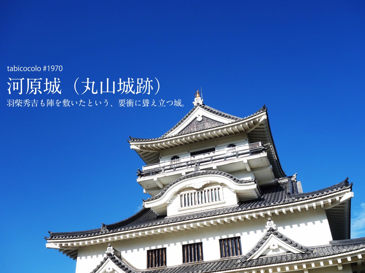 河原城（丸山城跡）