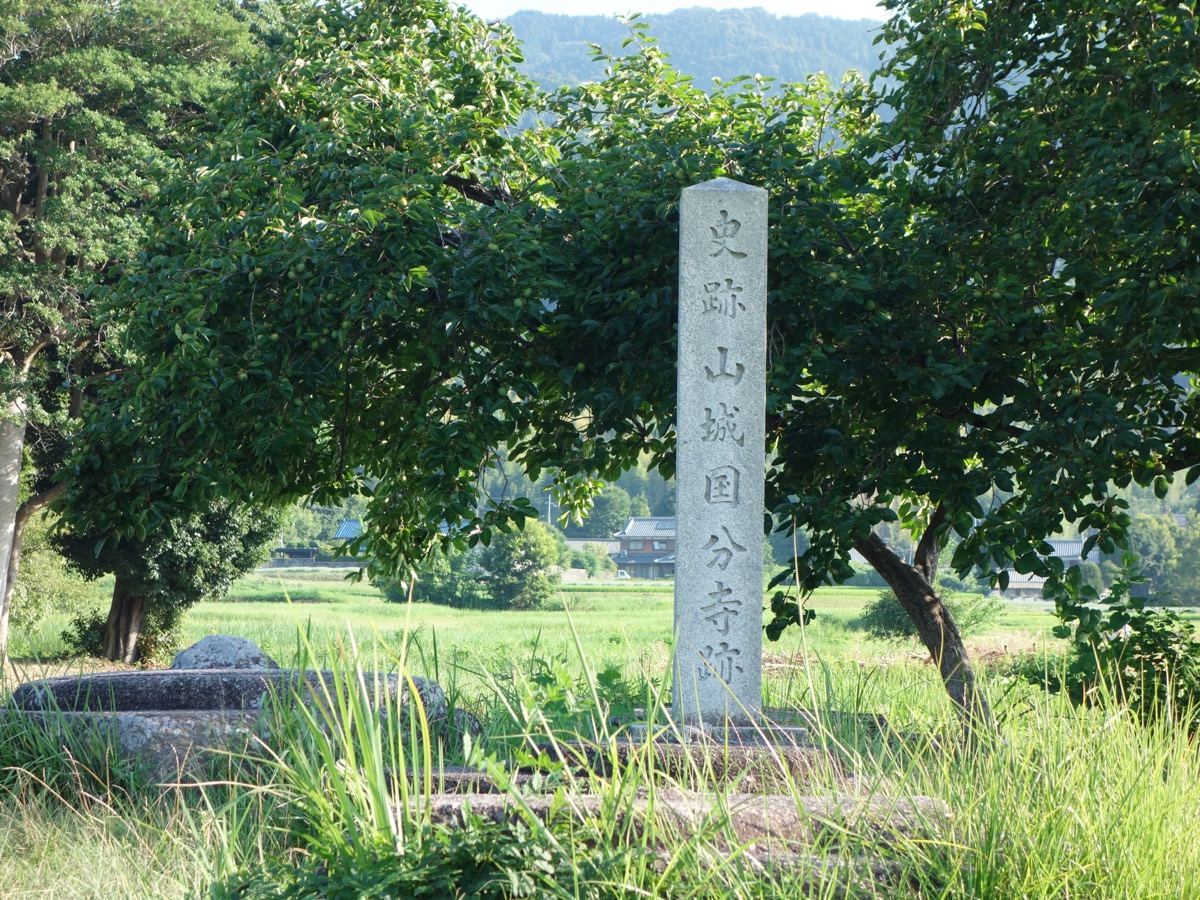 恭仁宮跡（山城国分寺跡）