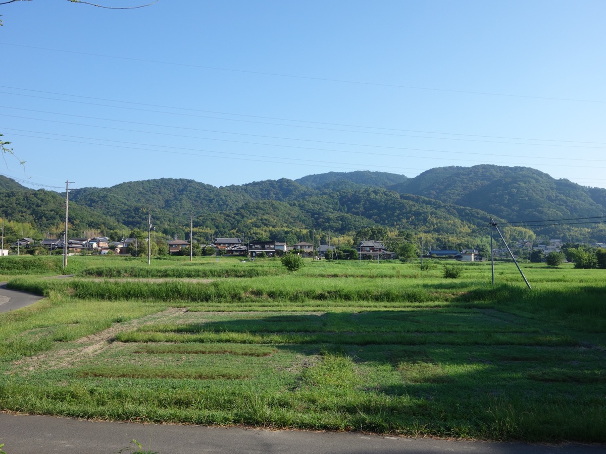 恭仁宮跡（山城国分寺跡）