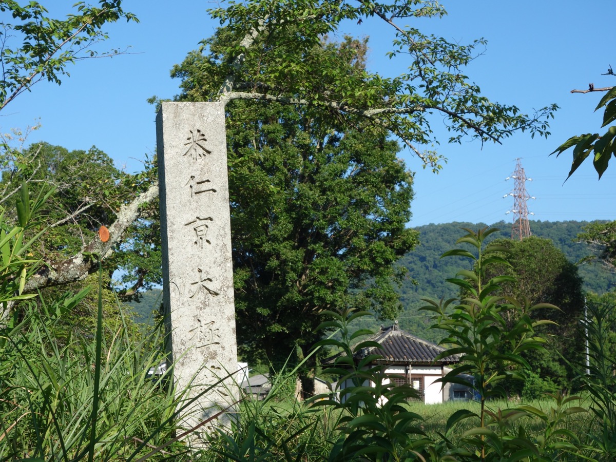 恭仁宮跡（山城国分寺跡）