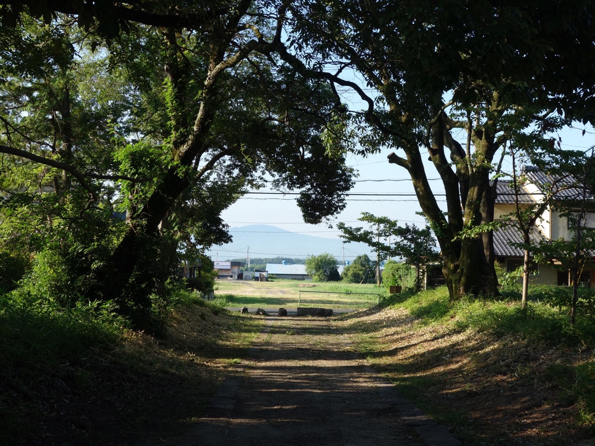 恭仁宮跡（山城国分寺跡）
