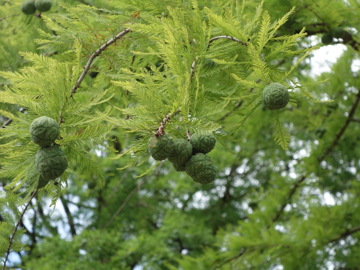 滋賀県立陶芸の森