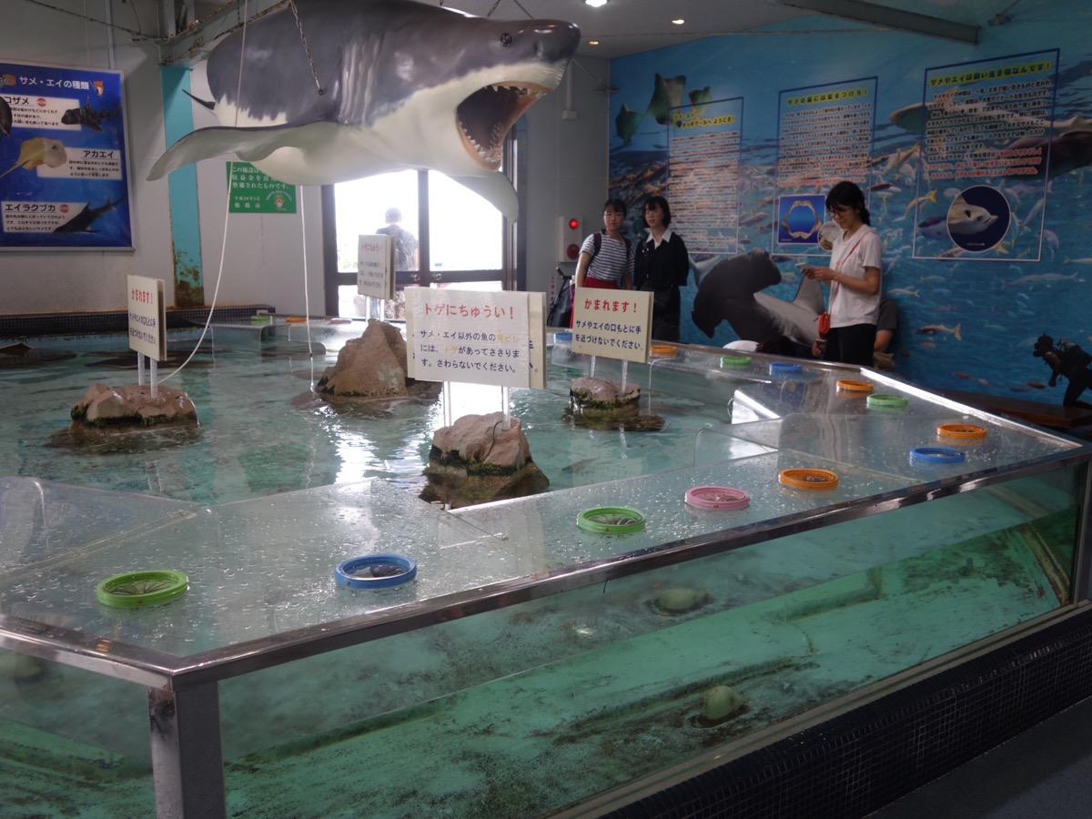 姫路市立水族館