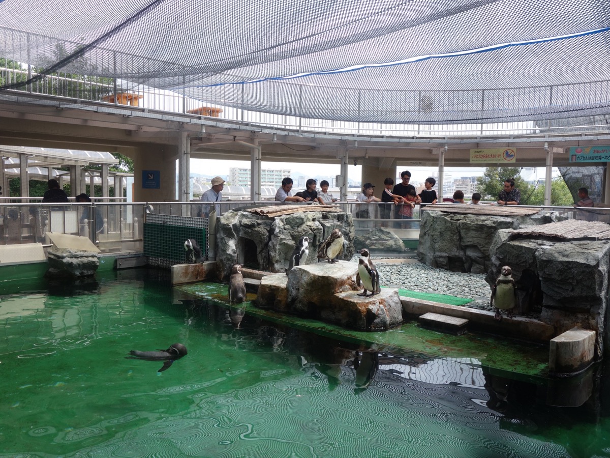 姫路市立水族館