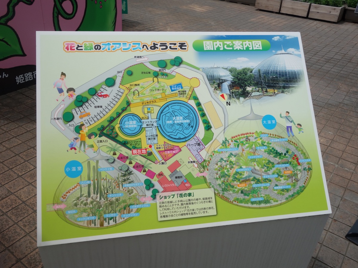 手柄山温室植物園