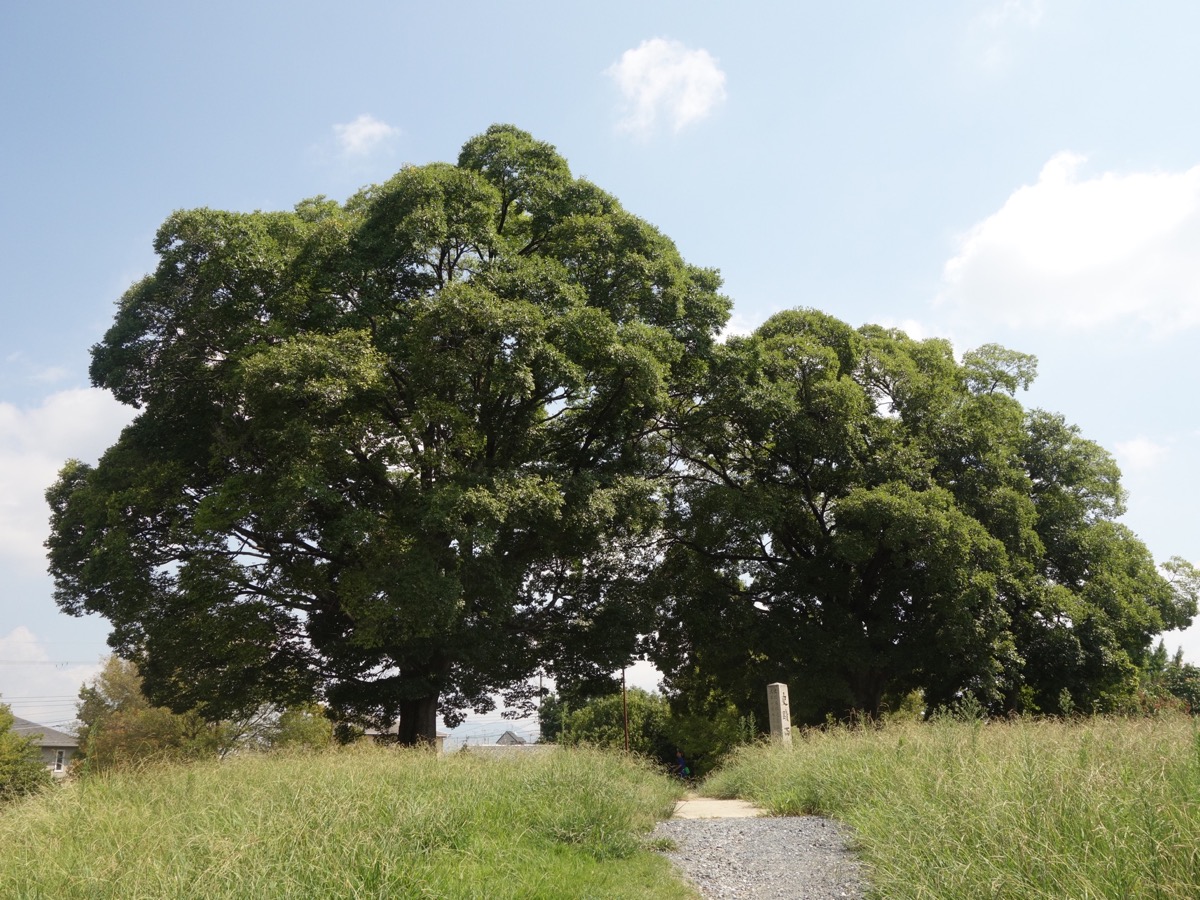 羅城門跡・西寺跡