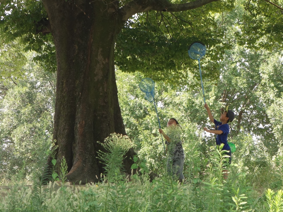 羅城門跡・西寺跡