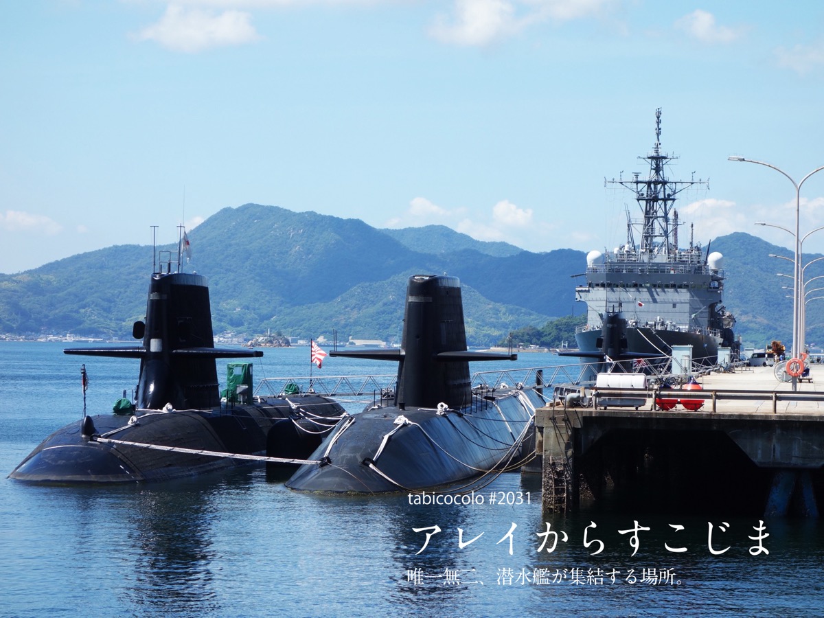 アレイからすこじま