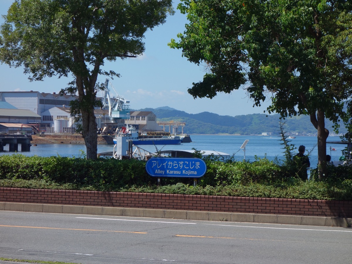 アレイからすこじま