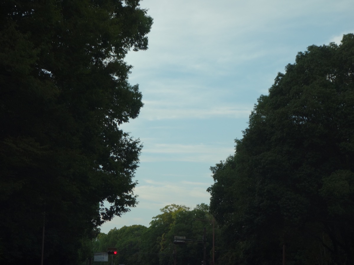 畝傍御陵前停車場四条線・橿原神宮公苑線