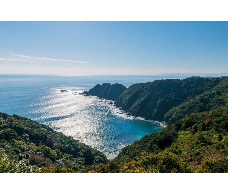 横浪黒潮ライン