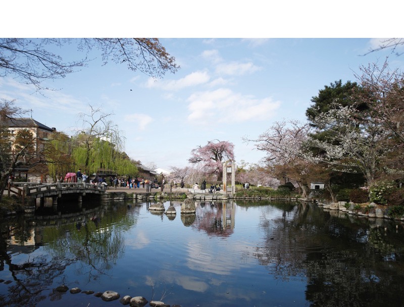 円山公園