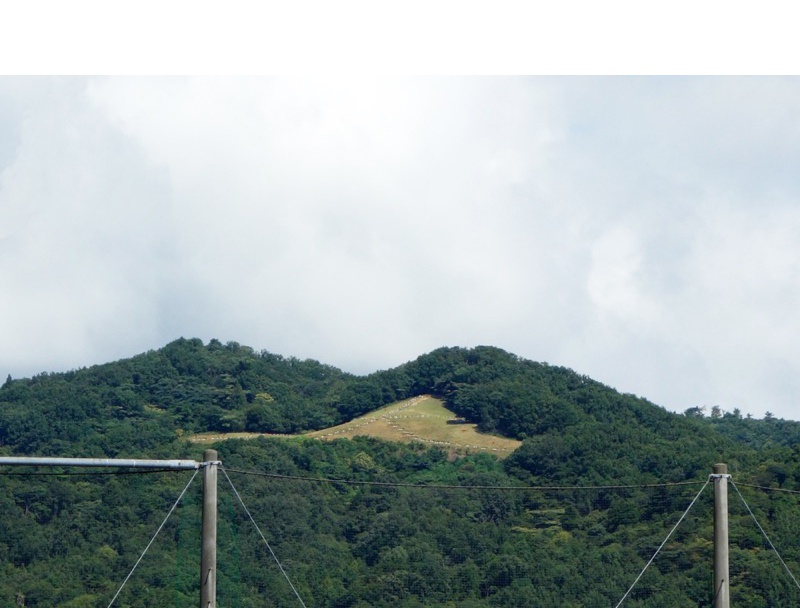 高円山