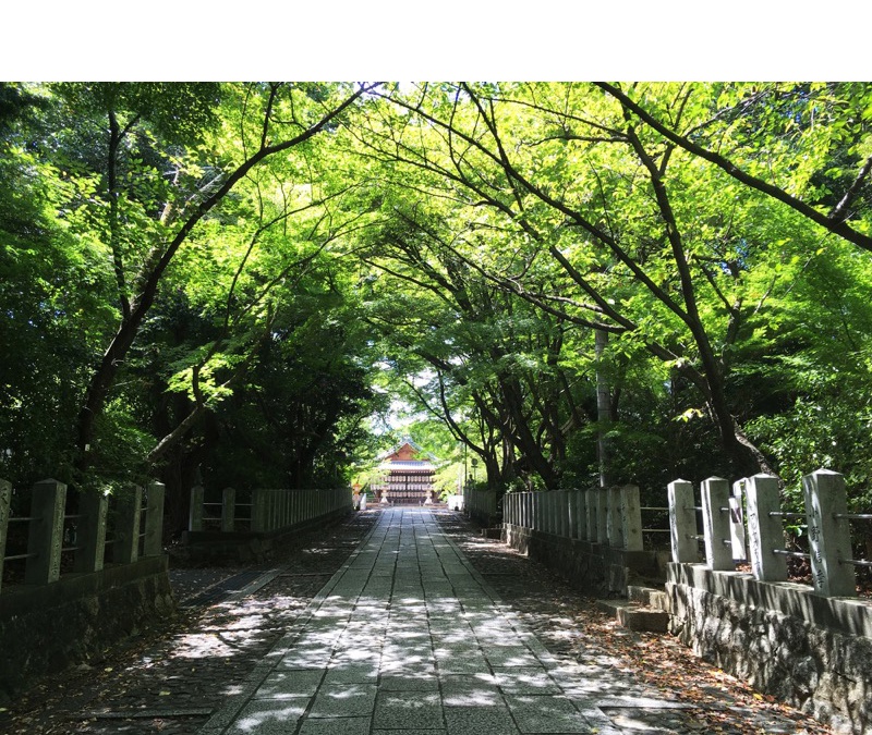 向日神社