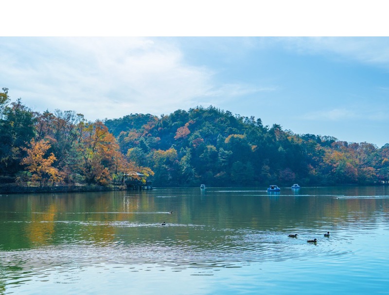 宝ヶ池公園