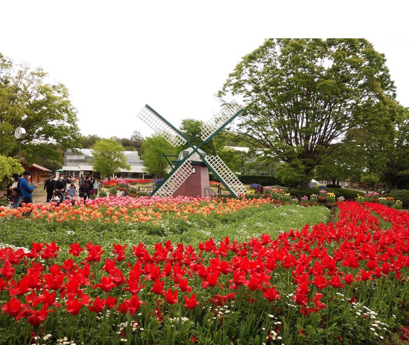 兵庫県立フラワーセンター