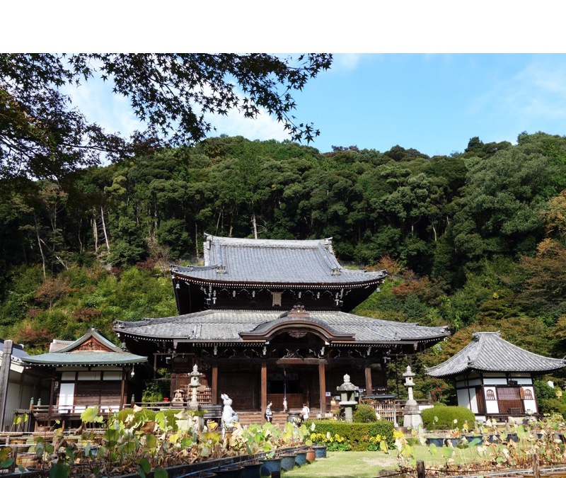 三室戸寺