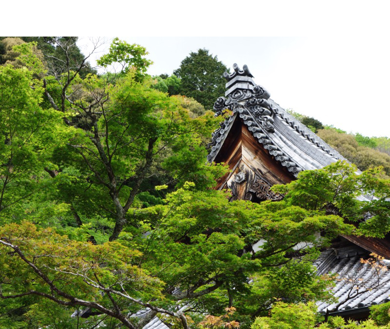 金剛城寺