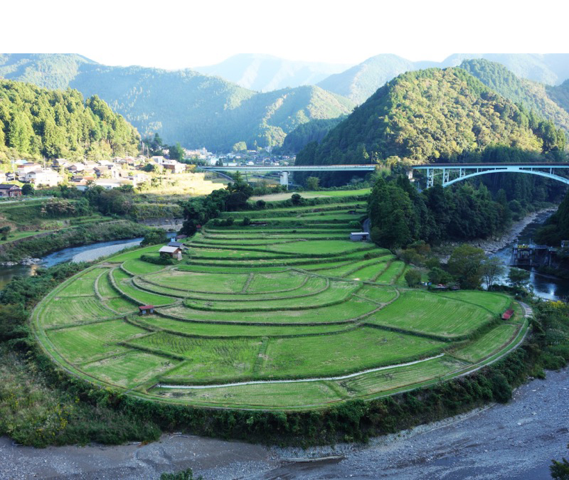 あらぎ島