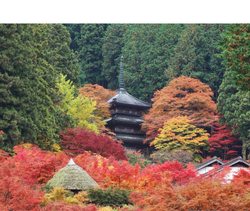 高源寺