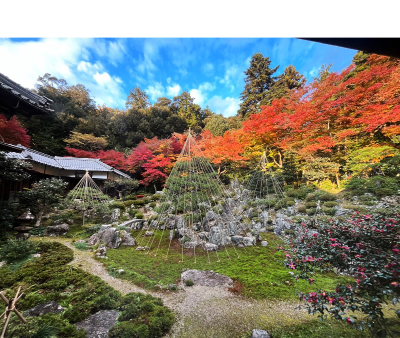 青岸寺