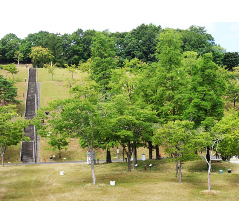 滋賀県立陶芸の森