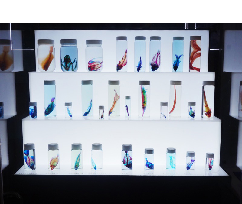 姫路市立水族館