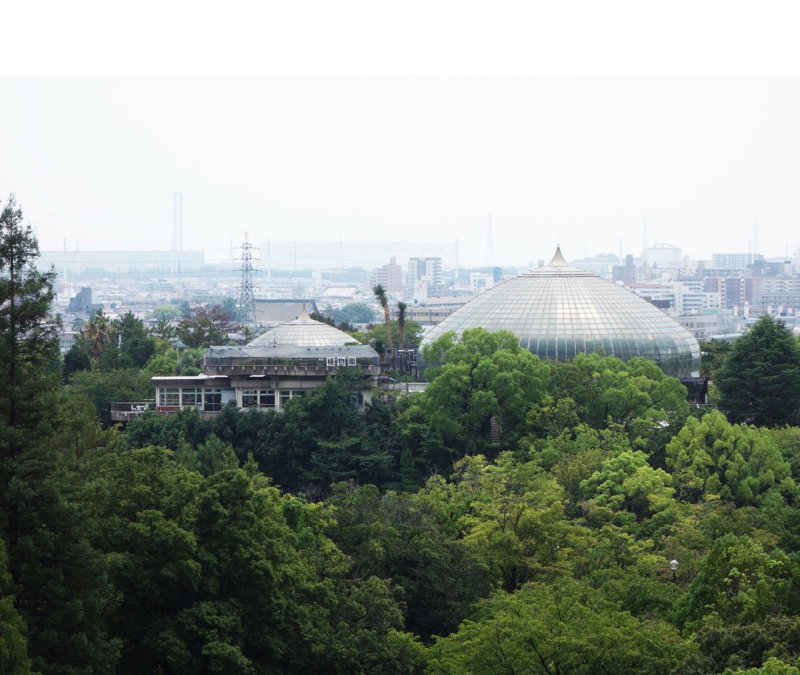 手柄山温室植物園