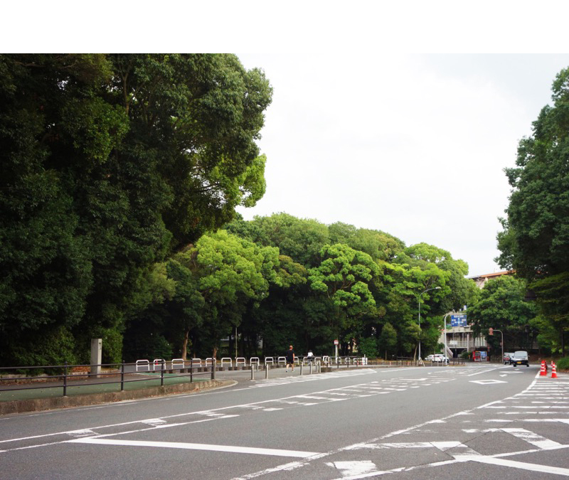 畝傍御陵前停車場四条線・橿原神宮公苑線