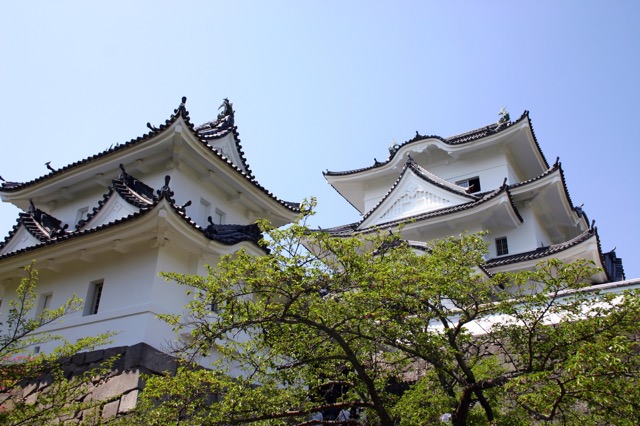 伊賀上野城