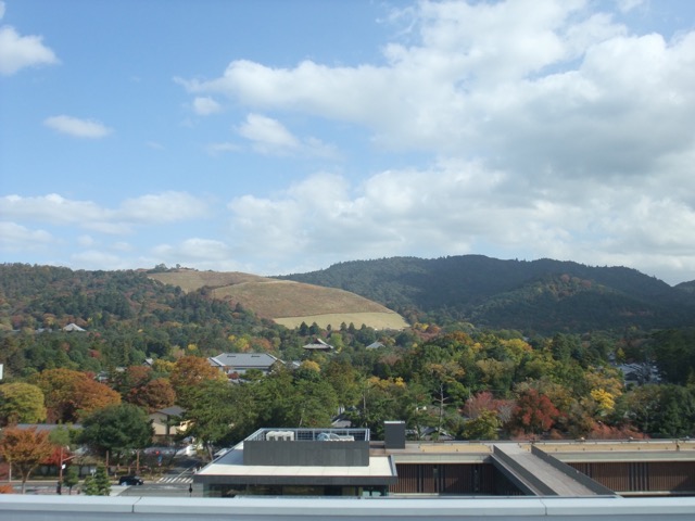 春日山原始林