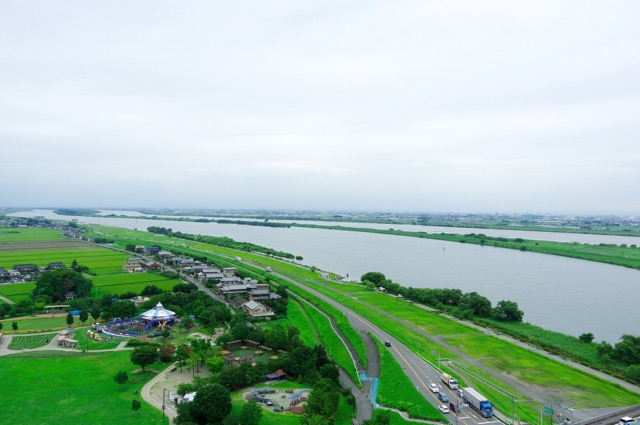 揖斐・長良川の背割堤