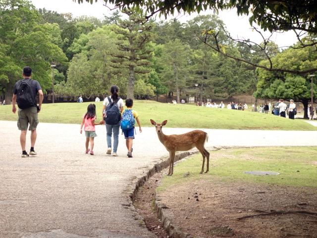 奈良公園