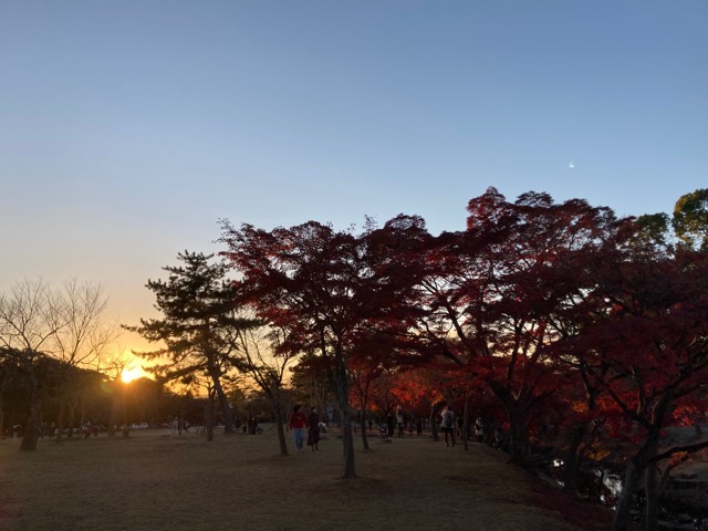 奈良公園