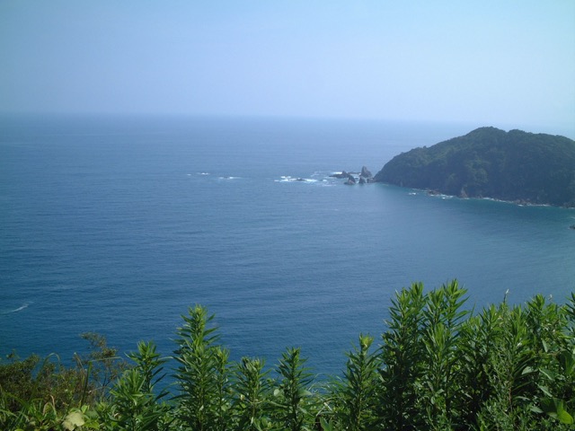 横浪黒潮ライン