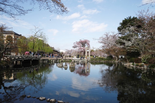 円山公園