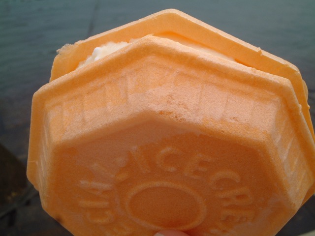 からさわ・アイスもなか