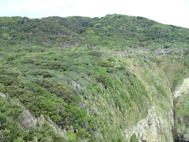 足摺岬