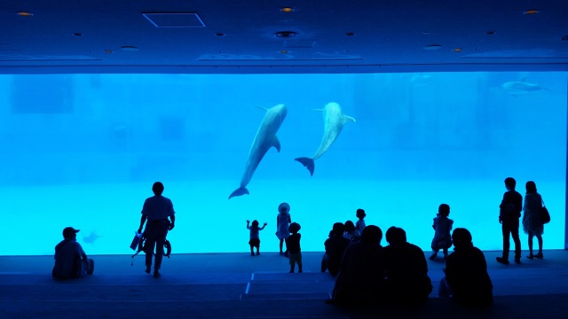 名古屋港水族館