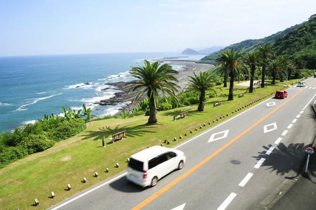 日南フェニックスロード