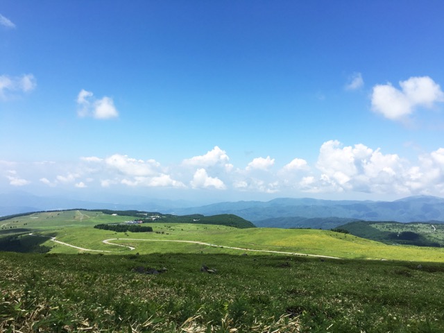ビーナスライン