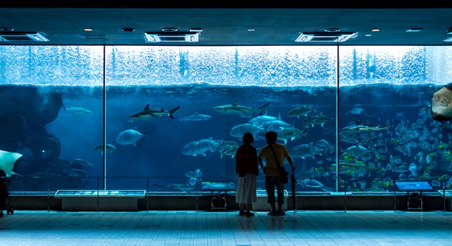 0696：須磨海浜水族園】 tabicocolo : 旅心