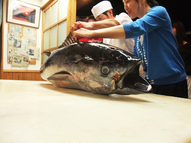 桂城・まぐろ料理