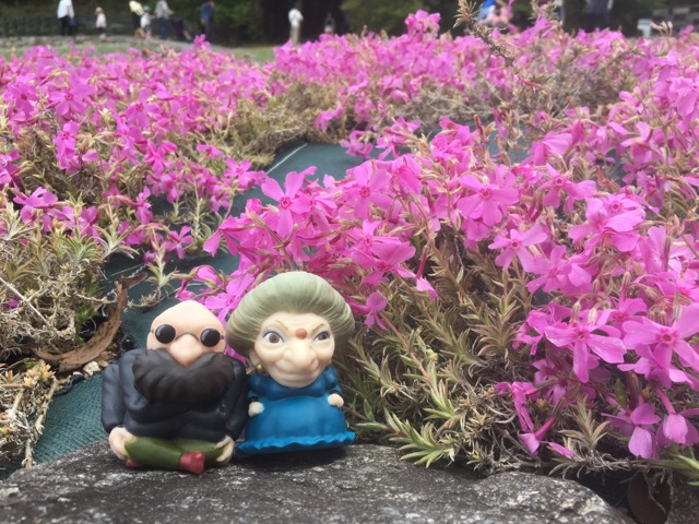 花のじゅうたん