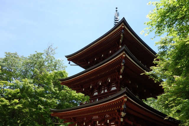 岡寺