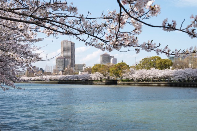 大川さくらクルーズ