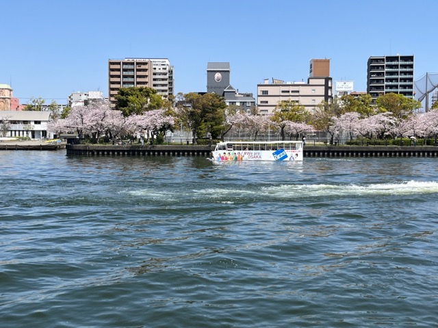 大川さくらクルーズ